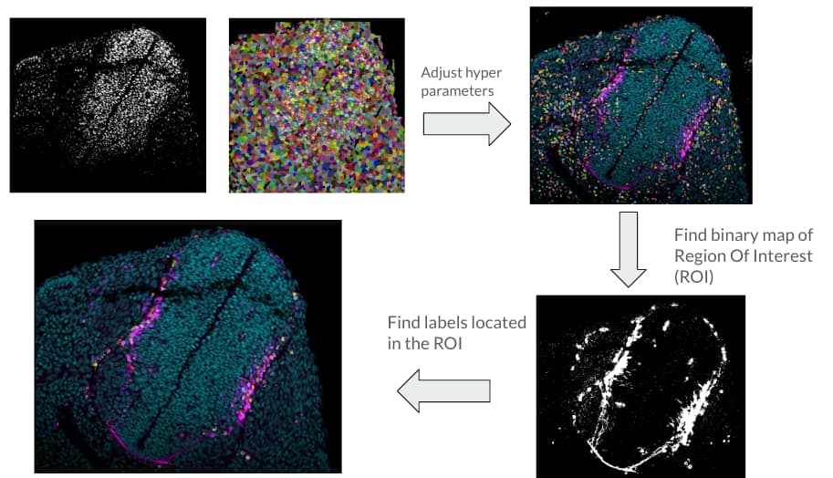 Four images illustrating data processing steps: starting image analysis, hyperparameter adjustments, mapping a region of interest, and extracting labels from the ROI.